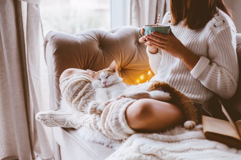 Cold autumn or winter weekend while reading a book and drinking warm cocoa with marshmellows. Lazy day with cat on the sofa. Cosy scene, hygge concept.